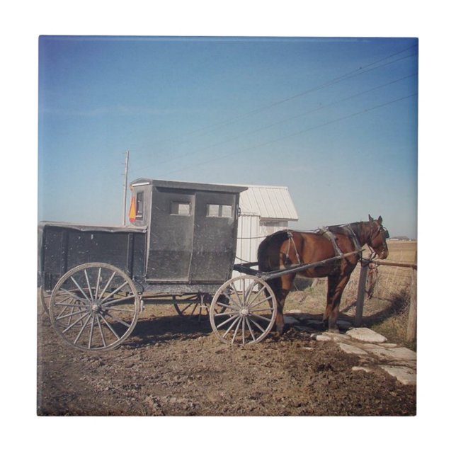 Väntar på Amish Horse och Buggy Kakelplatta (Framsidan)