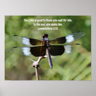 Väntar på att Dragonfly Nature Bible Verse Poster