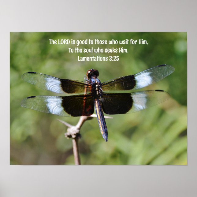Väntar på att Dragonfly Nature Bible Verse Poster (Framsidan)
