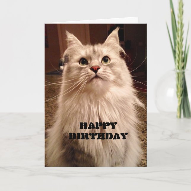 Väntar på att få ett födelsedagskort för kummel kort (Framsida)