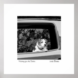 Väntar på att Linda Becker fotograferar föraren Poster