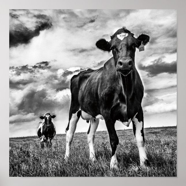 Väntar på BW Skörd Poster (Framsidan)