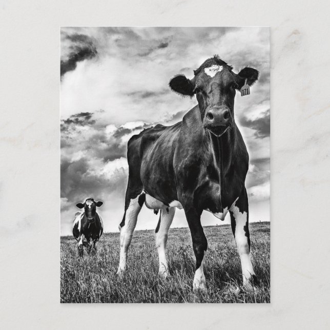 Väntar på BW Skörd Vykort (Framsida)