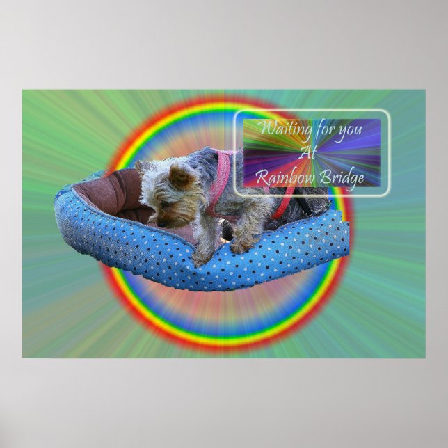 Väntar på dig på Rainbow Bridge Poster (Framsidan)
