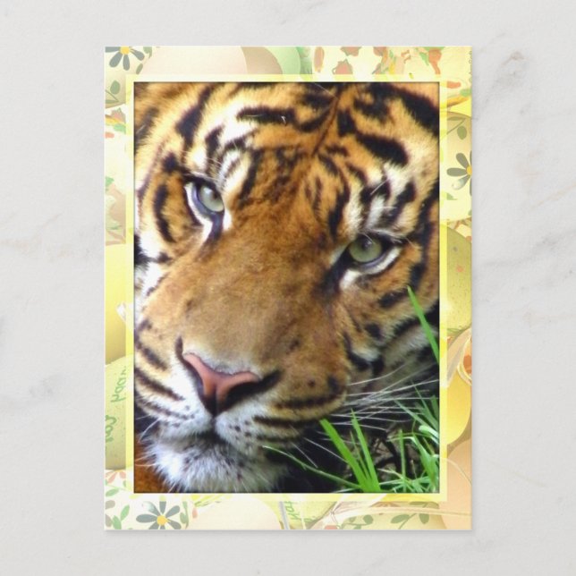 Väntar på dig/Saknar dig_ Vykort (Framsida)