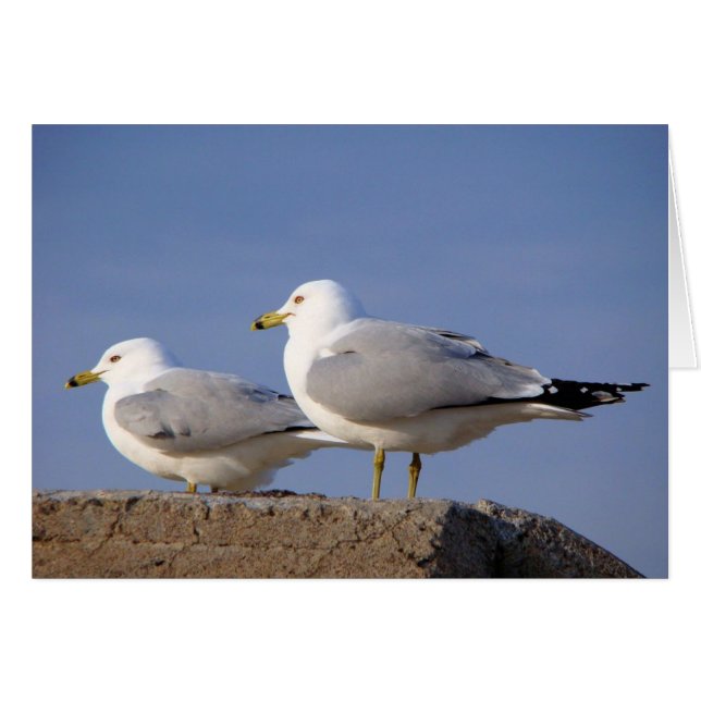 Väntar på Hiss av Hälsningskort (Framsidan Horizontal)