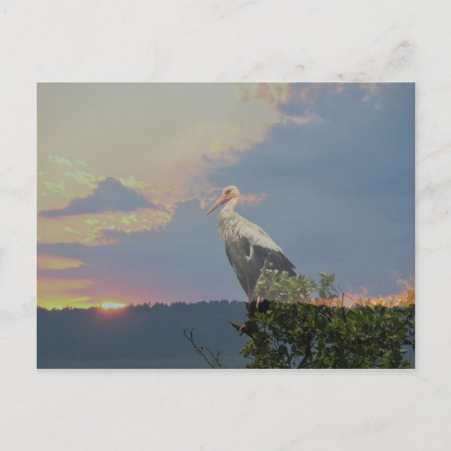 Väntar på höst vykort (Framsida)