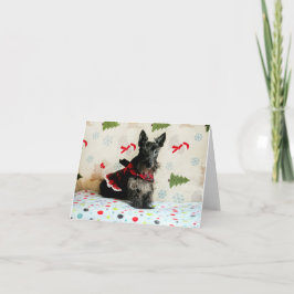 Väntar på julkort kort