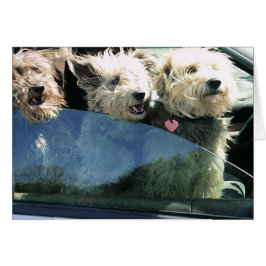 Väntar på kinesisk mat OBS kort