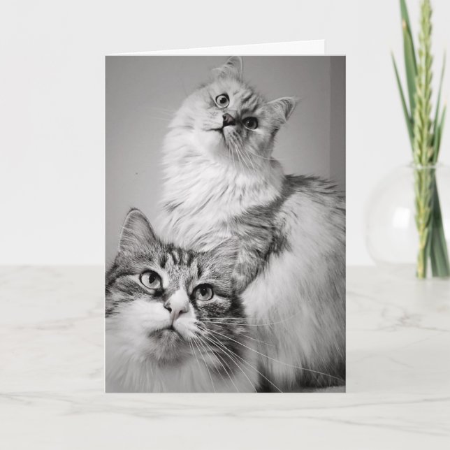 Väntar på kummel hos patienten (medarbetarens föde kort (Framsida)