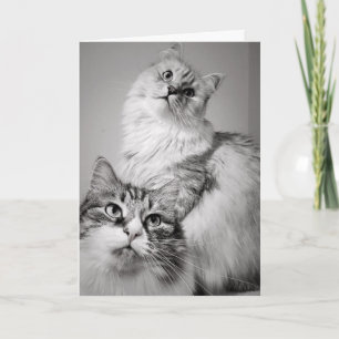 Väntar på kummel hos patienten (medarbetarens föde kort