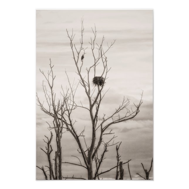 Väntar på Life Fototryck (Framsidan)