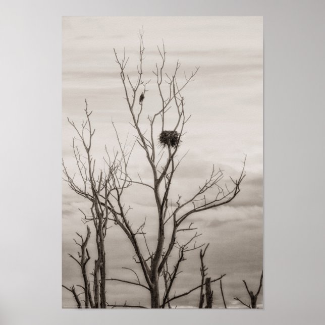 Väntar på Life Poster (Framsidan)