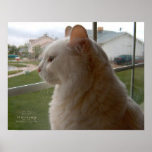 Väntar på min människa