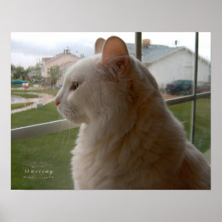 Väntar på min människa poster