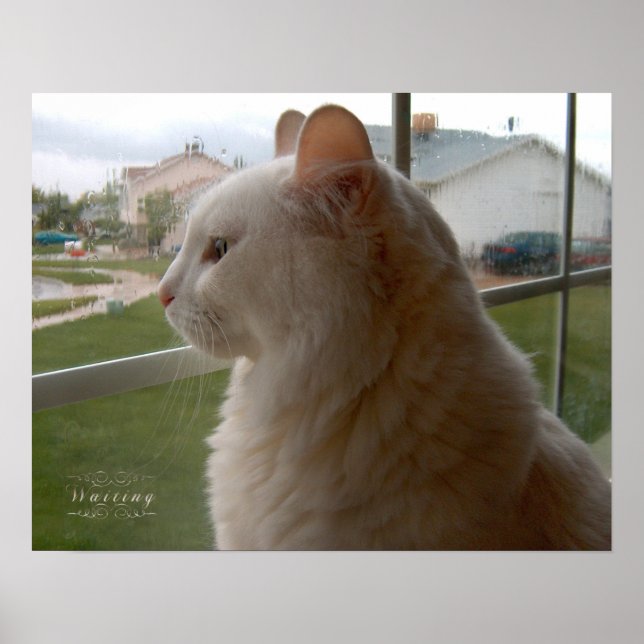 Väntar på min människa poster (Framsidan)