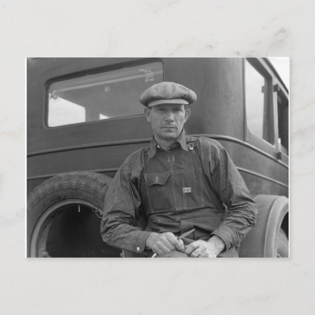 Väntar på orangar för plocka vykort (Framsida)