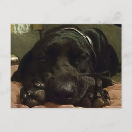 Väntar på patienter vykort