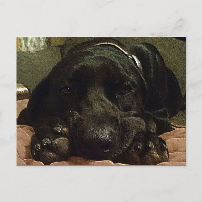 Väntar på patienter vykort (Framsida)