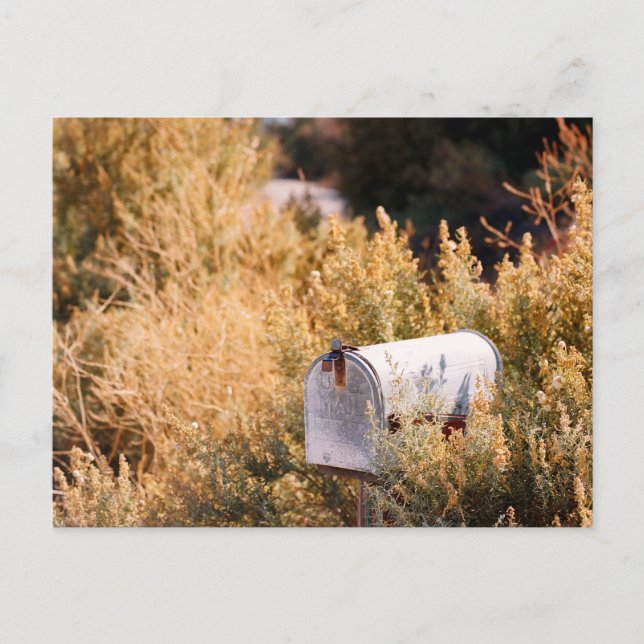 Väntar på posten. vykort (Framsida)