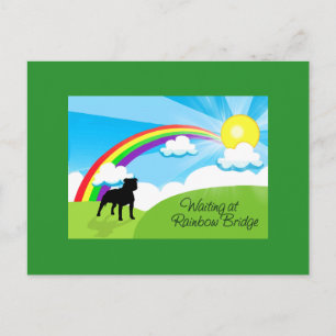 Väntar på Rainbow Bridge Pitbulls Vykort