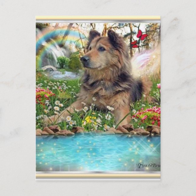 Väntar på regnbågsbron vykort (Framsida)