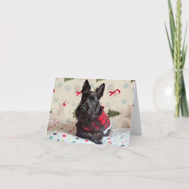 Väntar på Santa Paws-kort (med text) Kort (Framsida)