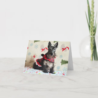 Väntar på Santa Paws-kort (med text) Kort