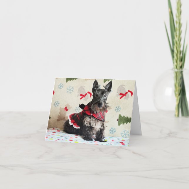 Väntar på Santa Paws-kort (med text) Kort (Framsida)