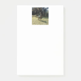 "Väntar på zigenarrover" Post-it Block