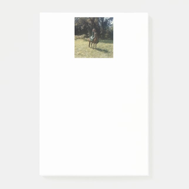 "Väntar på zigenarrover" Post-it Block (Framsida)