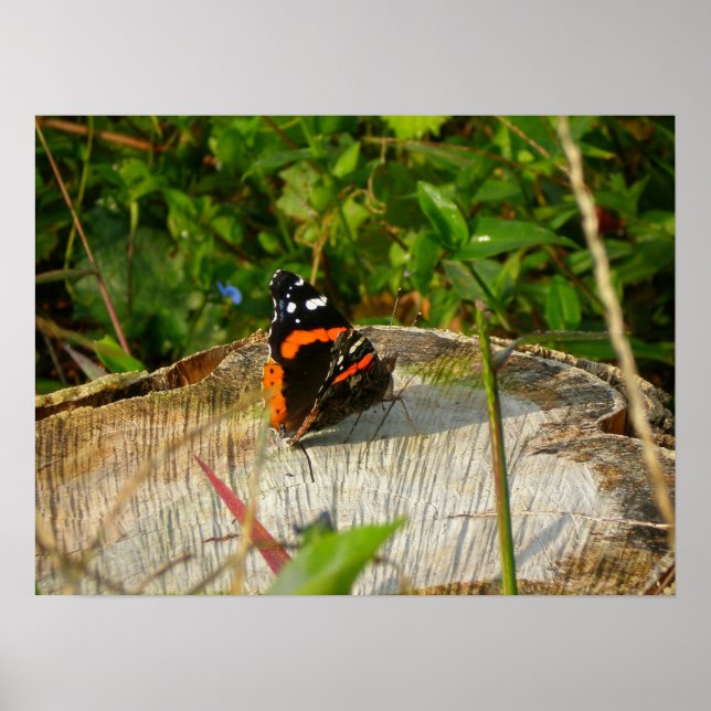 Väntar Poster (Framsidan)