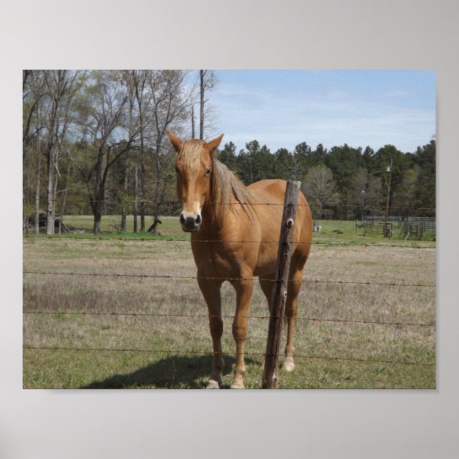 Väntar Poster (Framsidan)