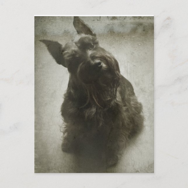 Väntar Vykort (Framsida)