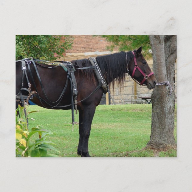 Väntar Vykort (Framsida)