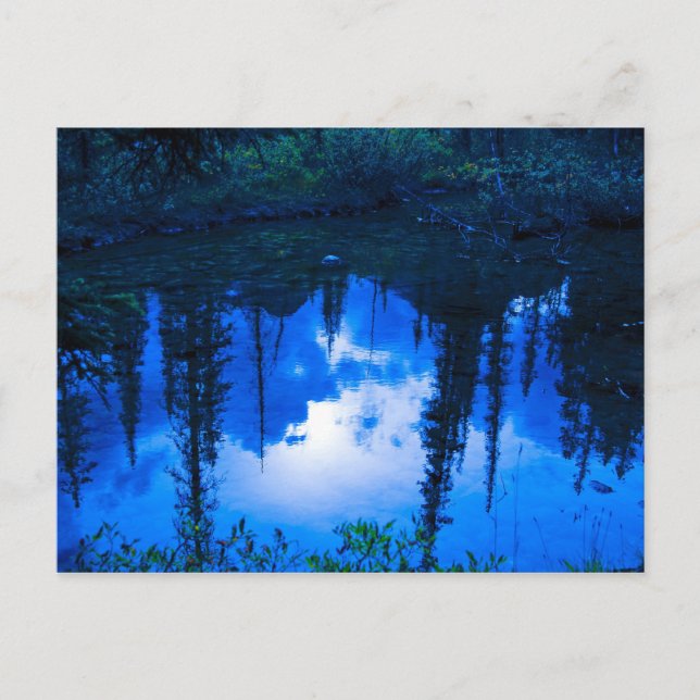 Väntereflektioner Vykort (Framsida)