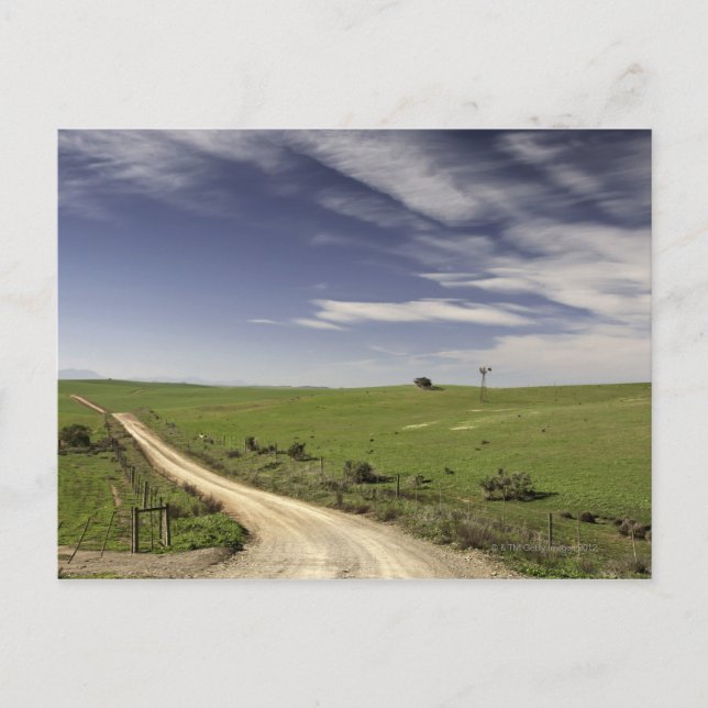 Väntning mellan vete, fält, Caledon. Vykort (Framsida)