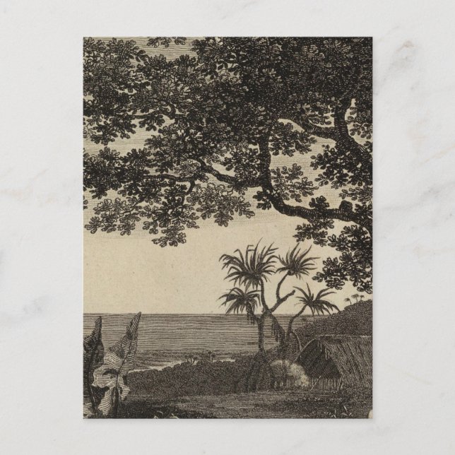 Vanuatu 3 vykort (Framsida)