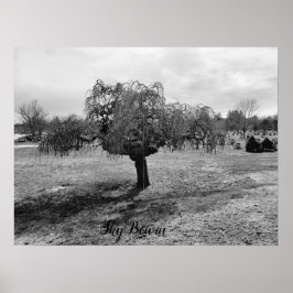 Väpande träd poster