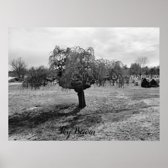 Väpande träd poster (Framsidan)