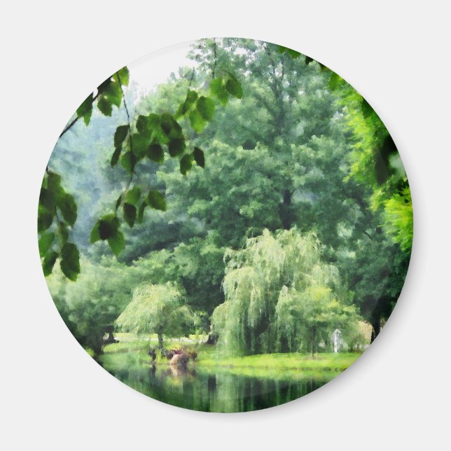 Vapande Willow i Mist Magnet (Framsidan)