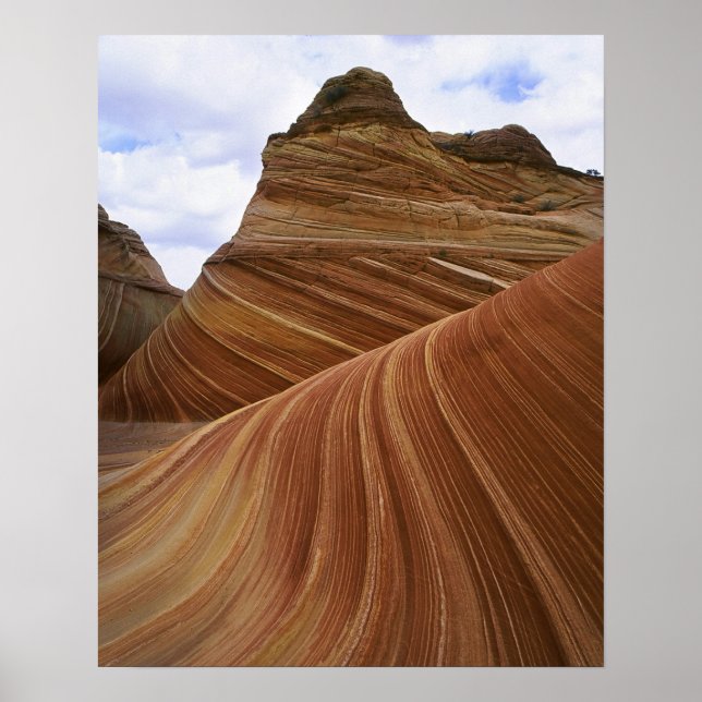 Vapenskölden Poster (Framsidan)