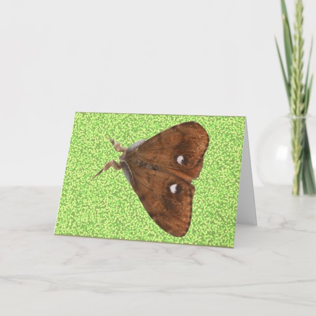 Vapourer Moth Greeting Card Kort (Framsida)