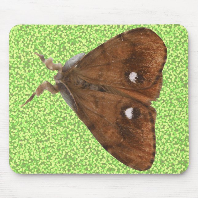 Vapourer Moth Mousepad Musmatta (Framsidan)