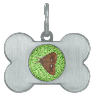 Vapourer Moth Pet-tagg Namnbricka Husdjur