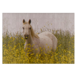 Vår