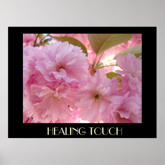 Vår 13 Rosa ludna Blommor DSC04353, HEALIN... Poster