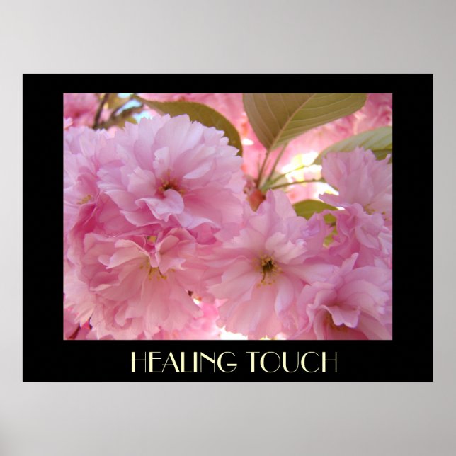 Vår 13 Rosa ludna Blommor DSC04353, HEALIN... Poster (Framsidan)