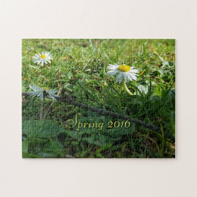 Vår 2016, Daisy Flowers Pussel (Horisontell)