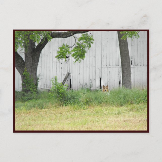 ~ Vår 36 ~ Vykort (Framsida)